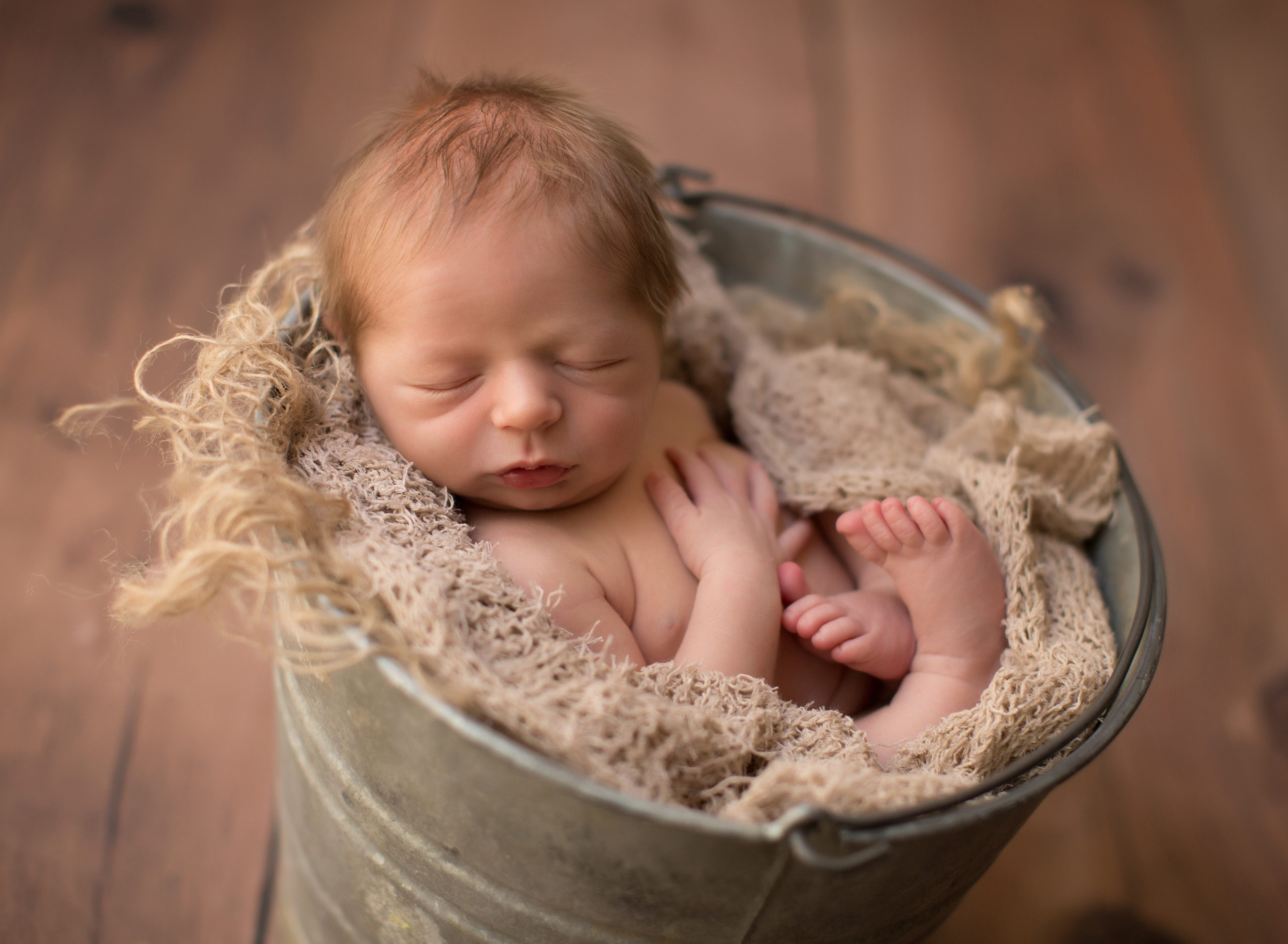 Auburn Newborn Photography 02