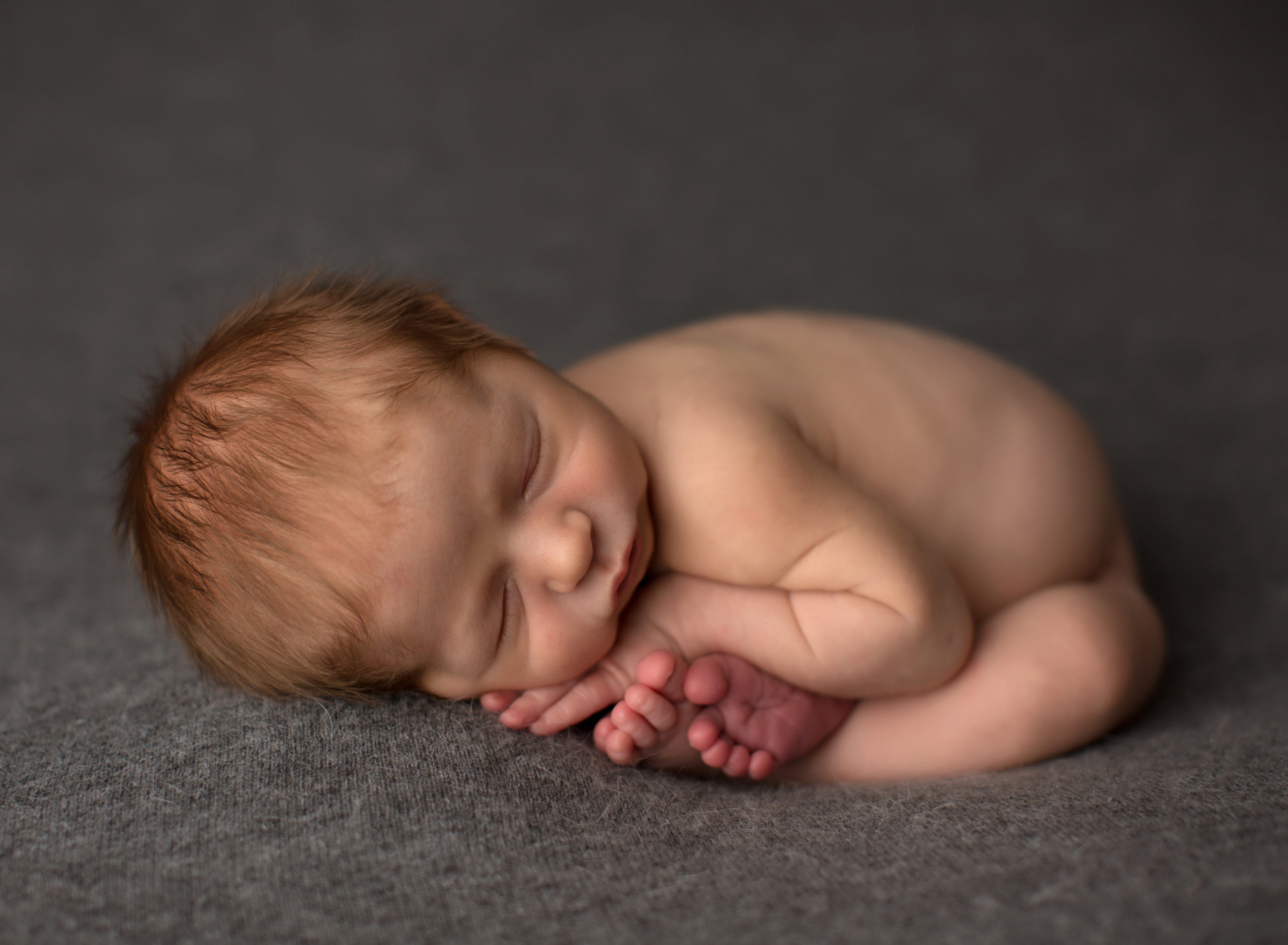 Auburn Newborn Photography 04