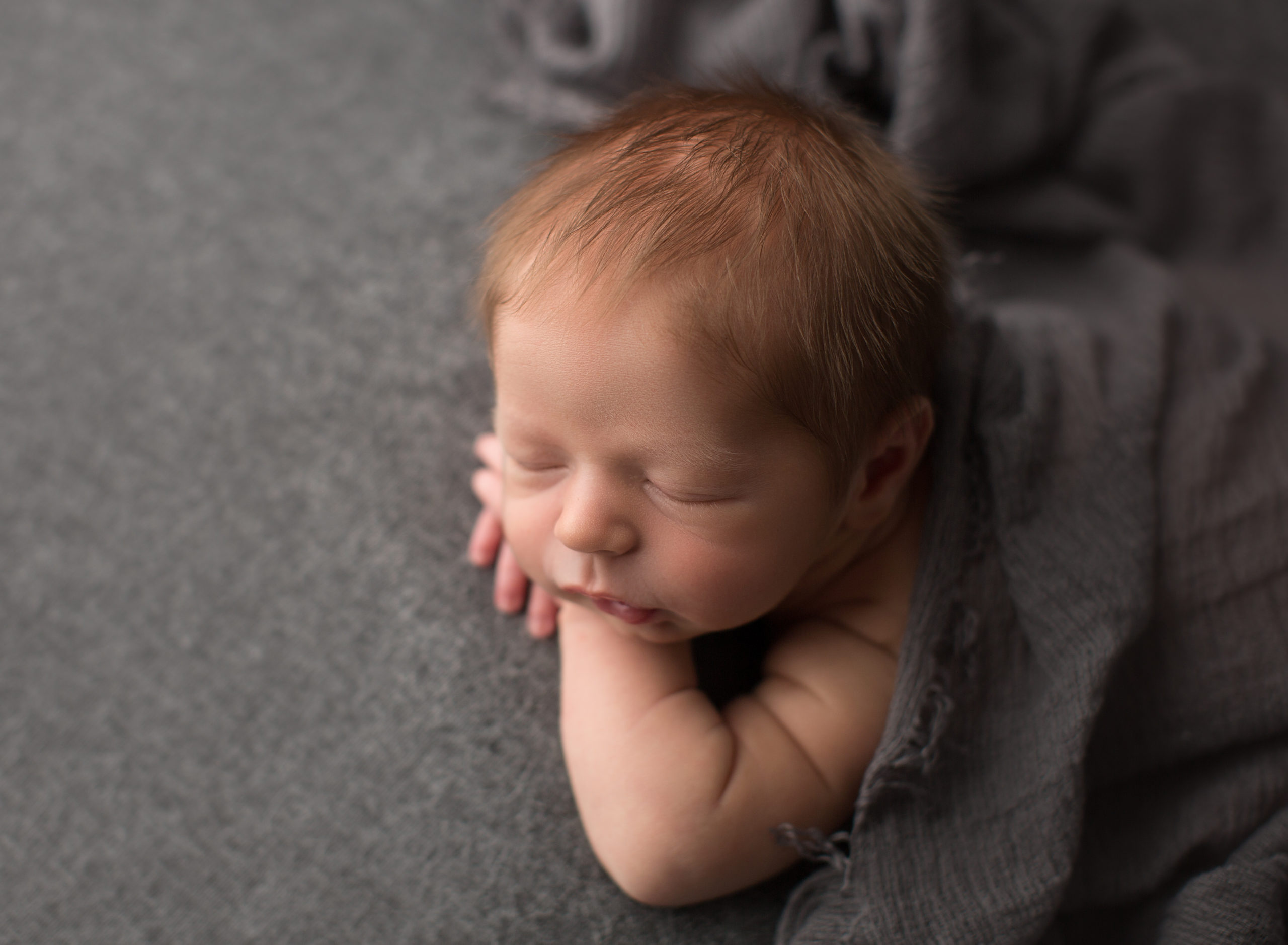 Auburn Newborn Photography 05