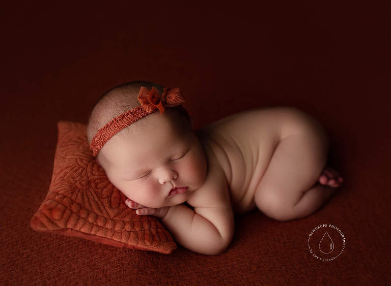 best olympia newborn photographer