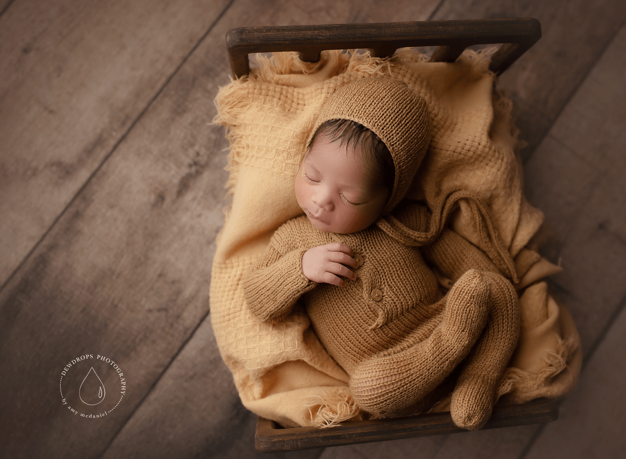 best seattle newborn photographer