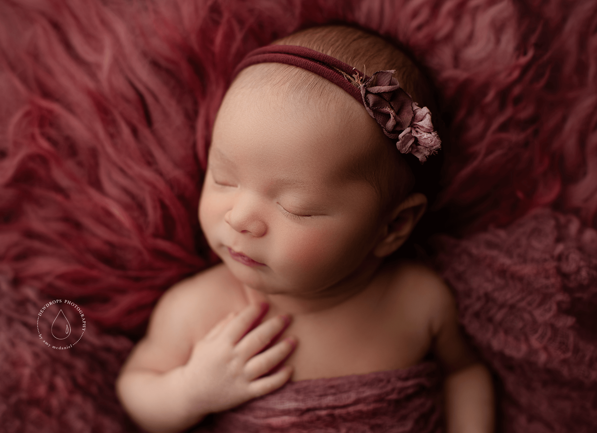 best seattle newborn photographer