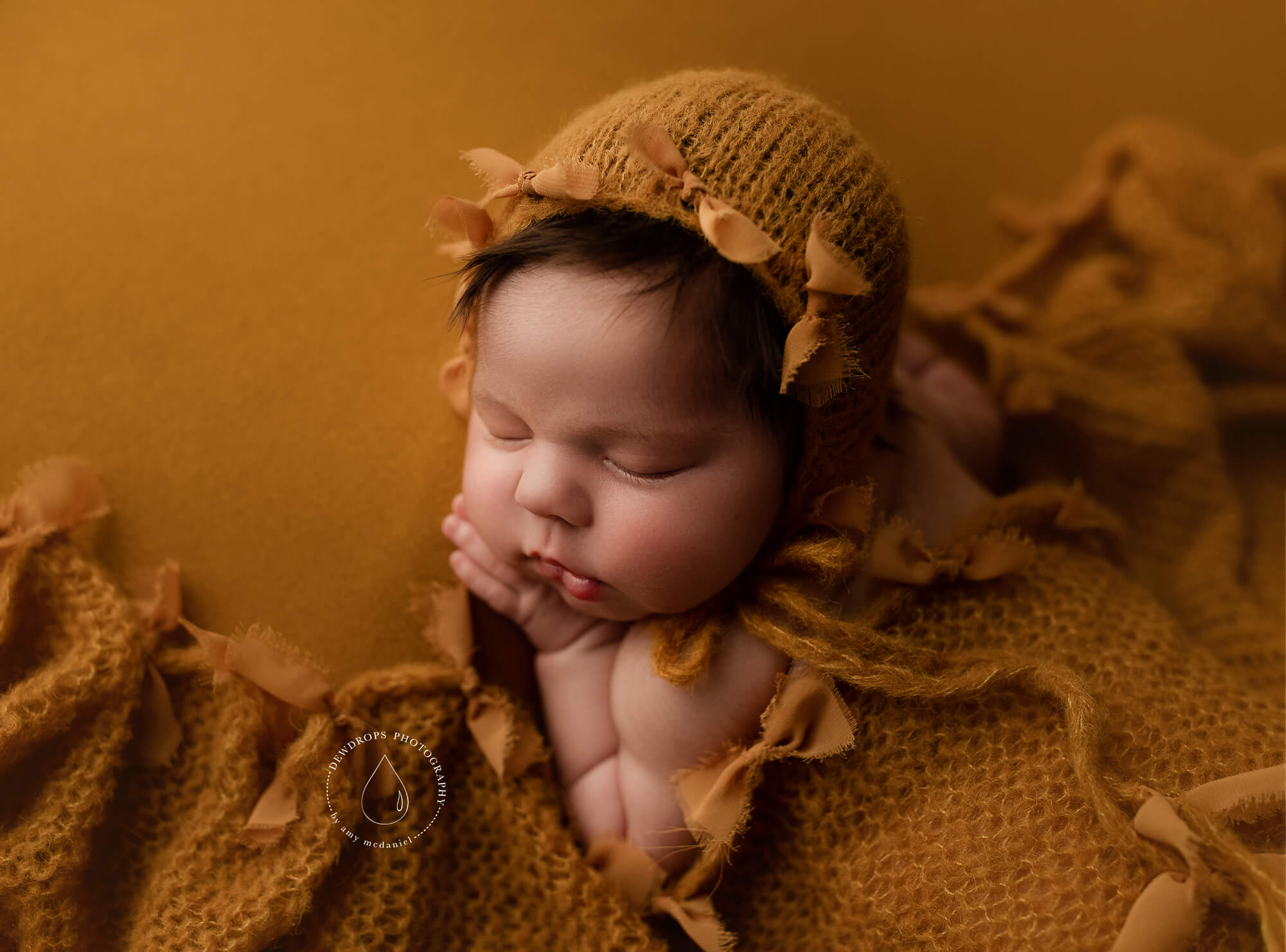 best tacoma newborn photographer